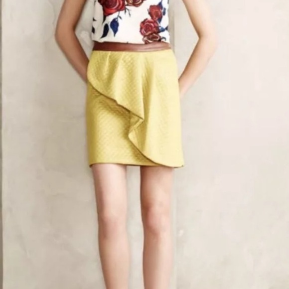 SALE NWOT Anthropologie HD in Paris size 10 skirt - Picture 1 of 8
